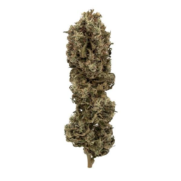BUBBLE GUM | 3g