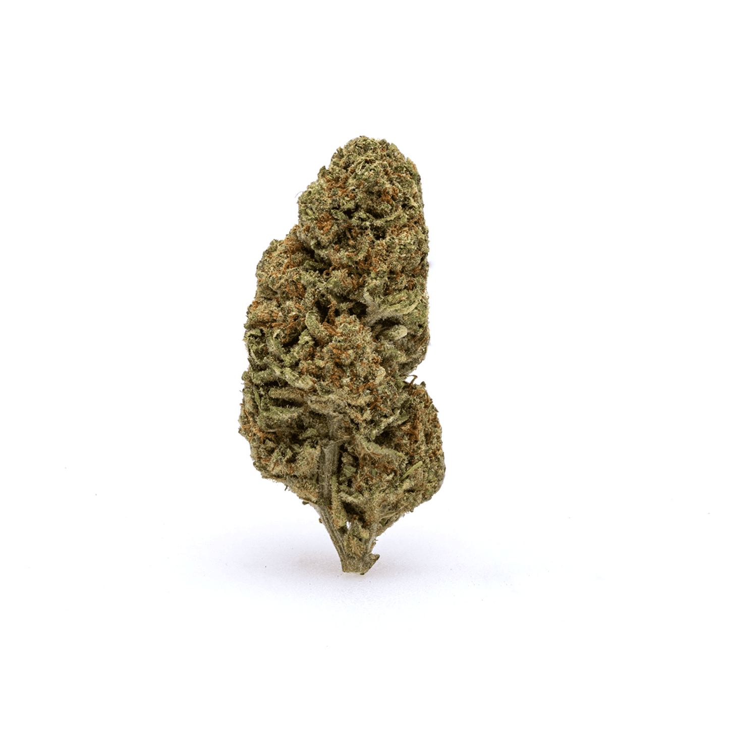 GIRL SCOUT COOKIES | 3g