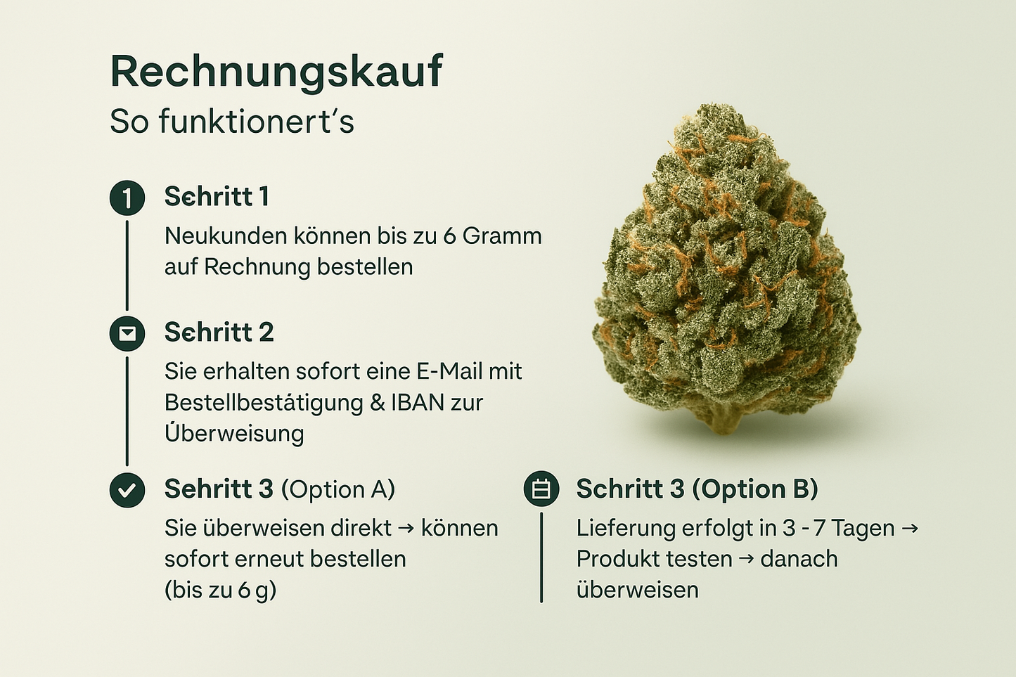 SUPER SILVER HAZE | 3g