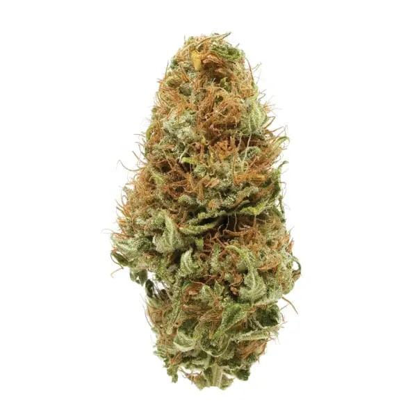 WHITE WIDDOW HAZE | 3g